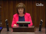 Poseł Małgorzata Zwiercan - Wystąpienie z dnia 10 maja 2017 roku.