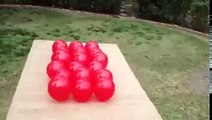 Çılgınca Balon Patlatan Köpek