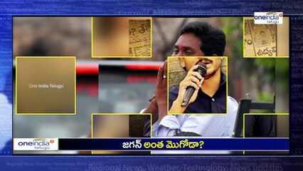 Ruling Party Leaders Fires on YS Jagan