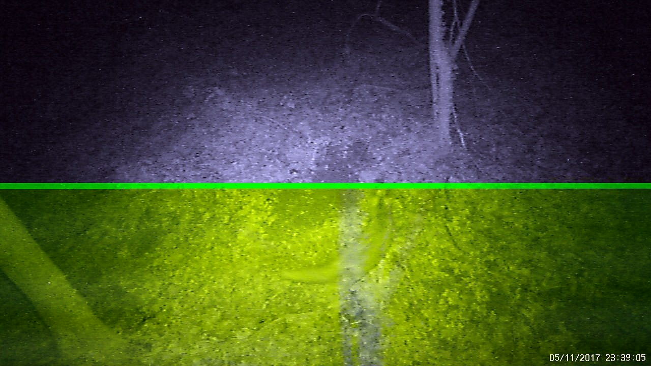 IMAG0008