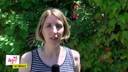 JT Agri85 TV du vendredi 26 mai 2017