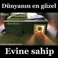 Evi kendinden tatlı