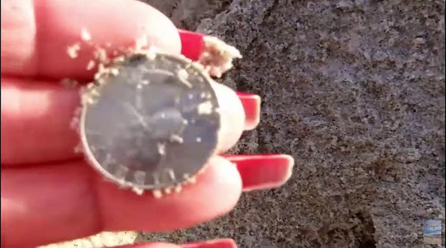 Beach Coin Detecting