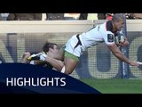 Toulouse v Zebre Rugby (Pool 2) Highlights – 17.12.2016