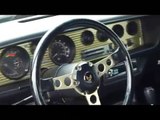 79 Special Edition Trans Am Bandit - For Sale