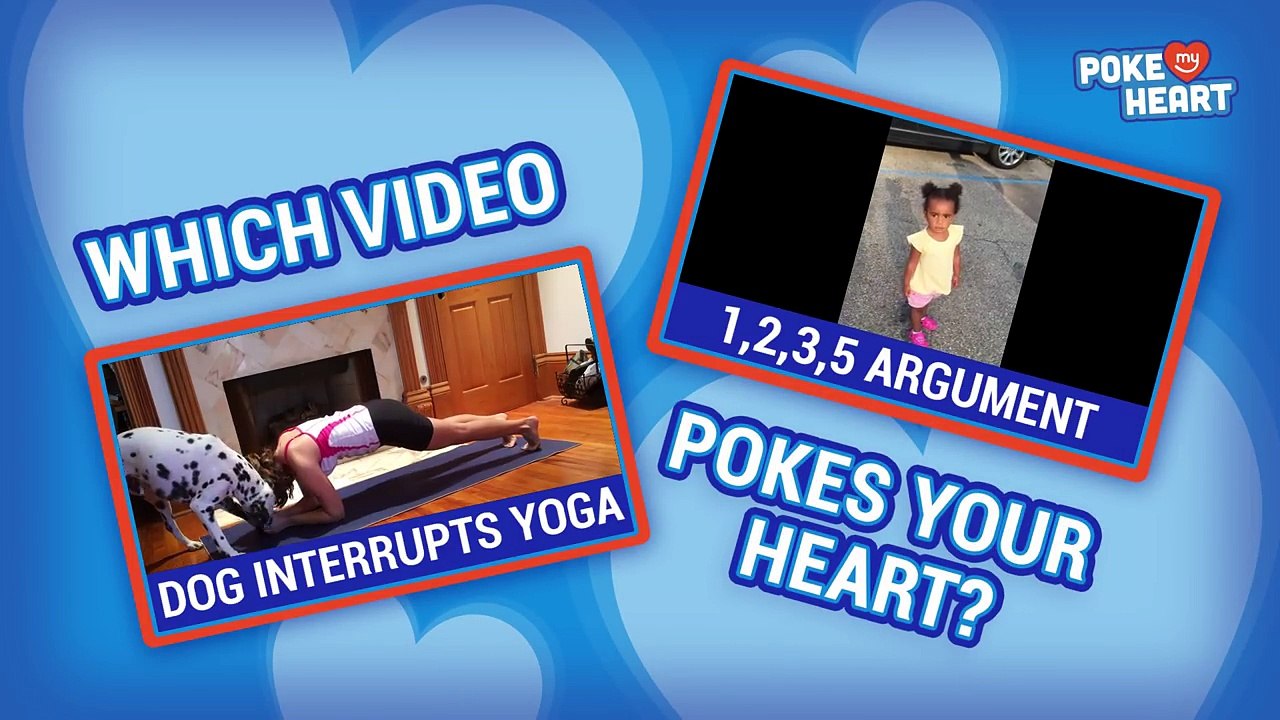Dalmatian Interrupts Yoga VS Counting Argument - Vote