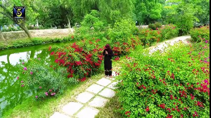 Moula Inj Da Karam Howe Naat | Shakeel Qadri Peeranwala || New Naat  2017