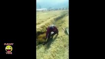 Funny Epic Fails That Will Mae You Laugh So Hard Or Grin