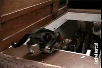 Sevmediğim adama yapmak istediğim