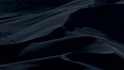 Kumların Köpekbalığı