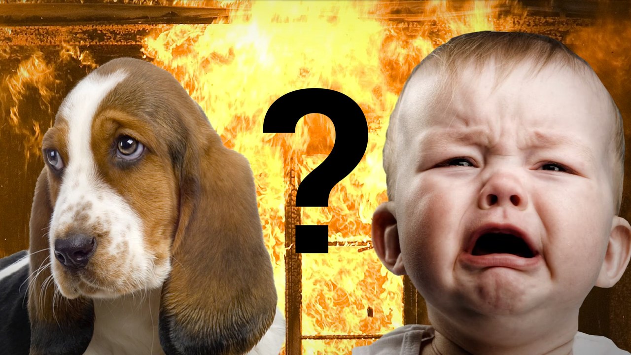 Dilema: ¿Salvarías a tu cachorrito o a un niño desconocido?