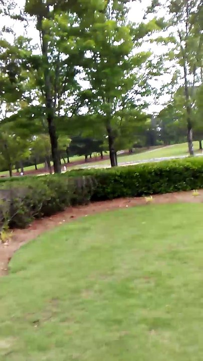 Video log