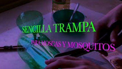 Coloque esto y en dos horas no habrá una sola mosca, ni mosquitos!