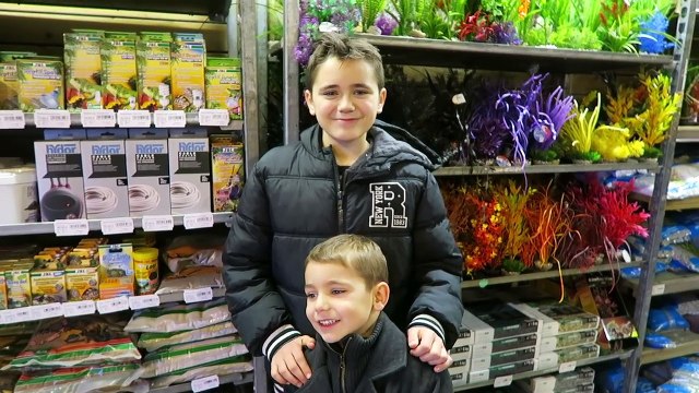 VLOG - Shopping Surprise de Noël pour PONYO