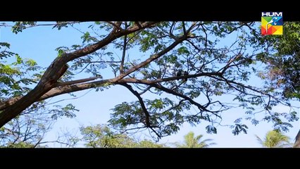 Nazr-e-Bad Episode 35 HUM TV Drama -24 May 2017