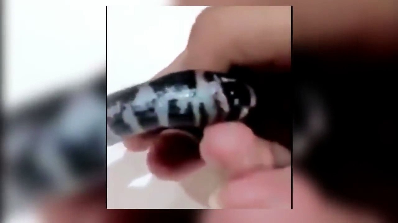 SERPIENTE se COME así MISMA y luego se VOMITA