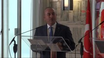 Çavuşoğlu'ndan Gülmen ve Özakça Açıklaması Bu Kişileri Masum Göstermek Doğru Değil