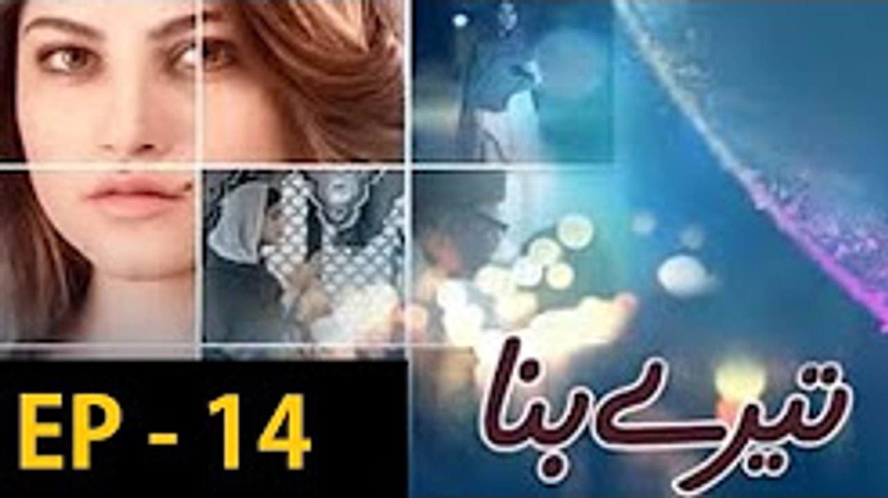 Tere Bina Episode 14 Complete HD