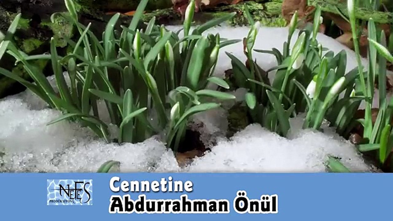 Medine Yolcusu - 1 ( En Güzel Seçme İlahiler )