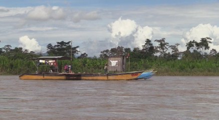 Perú combate cultivos de cocaína con estrategia útil para la comunidad