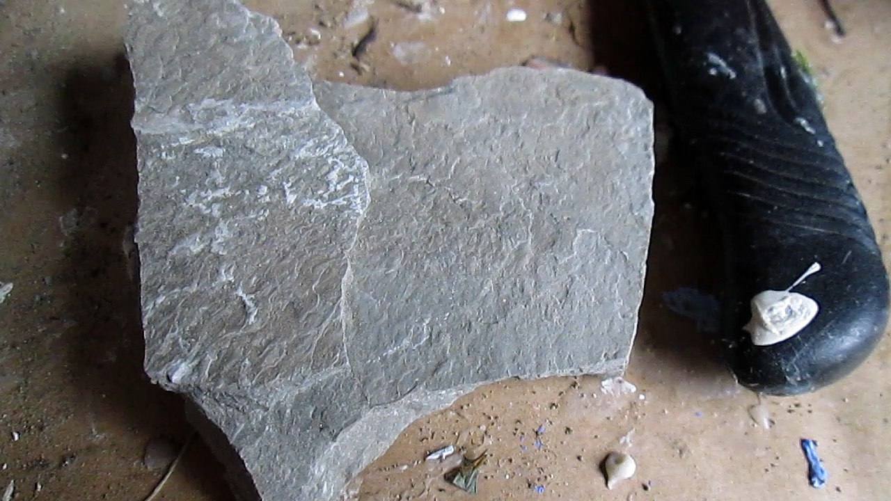 MVI_0013
