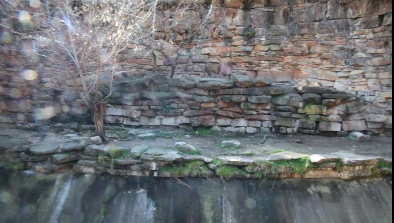 Landscape design of the zoo (lion cage)