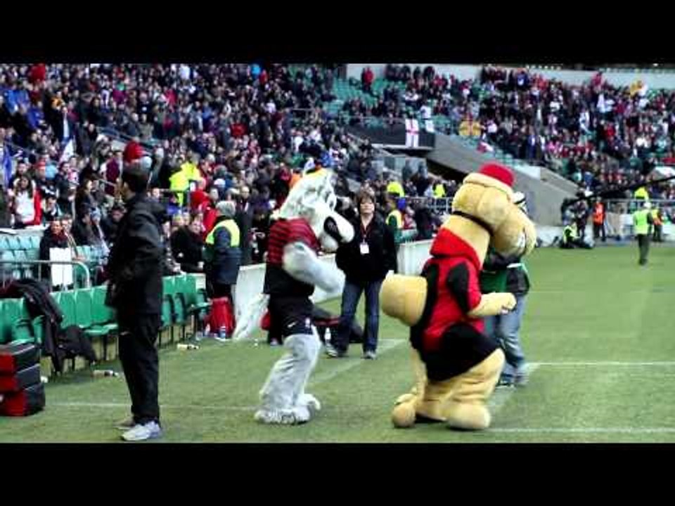 Heineken Cup Quarter-final 2013: Access All Areas - Saracens v Ulster Rugby at Twickenham