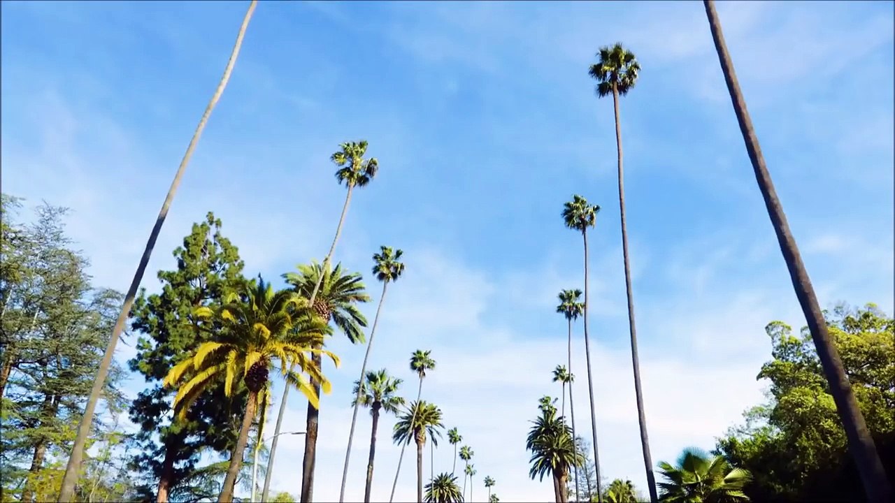 LAW & ORDER TRUE CRIME: THE MENENDEZ MURDERS Official Trailer (HD) Edie Falco Drama Series