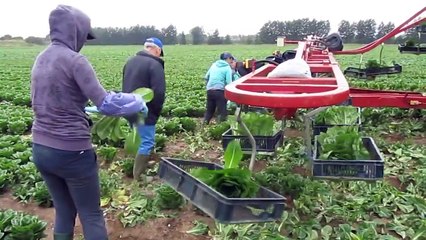 Tarımda iş kolaylaştıran harika sistemler