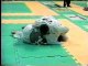 Crosley Gracie competing at the 98 Jiu-Jitsu Worlds