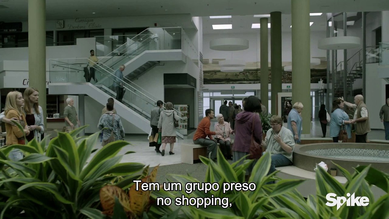 003-entering-the-mist