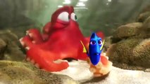 FINDING DORY - k's Unforgettable Moments ' Animation Movie [HD]