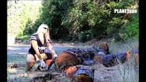 Primitive Technology Pretty Girls Chopping Sawing Wood