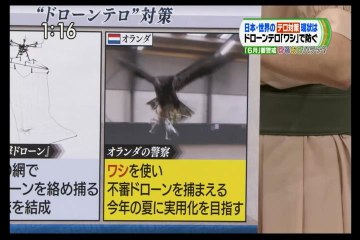 テロ対策の現状は？トラック、ドローン攻撃等