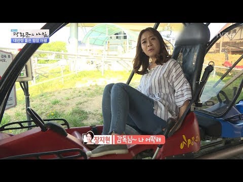 시속 40km! 1인용 롤러코스터, 알파인코스터! [광화문의 아침] 488회 2017...