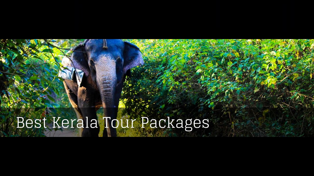 Best Kerala Tour Packages