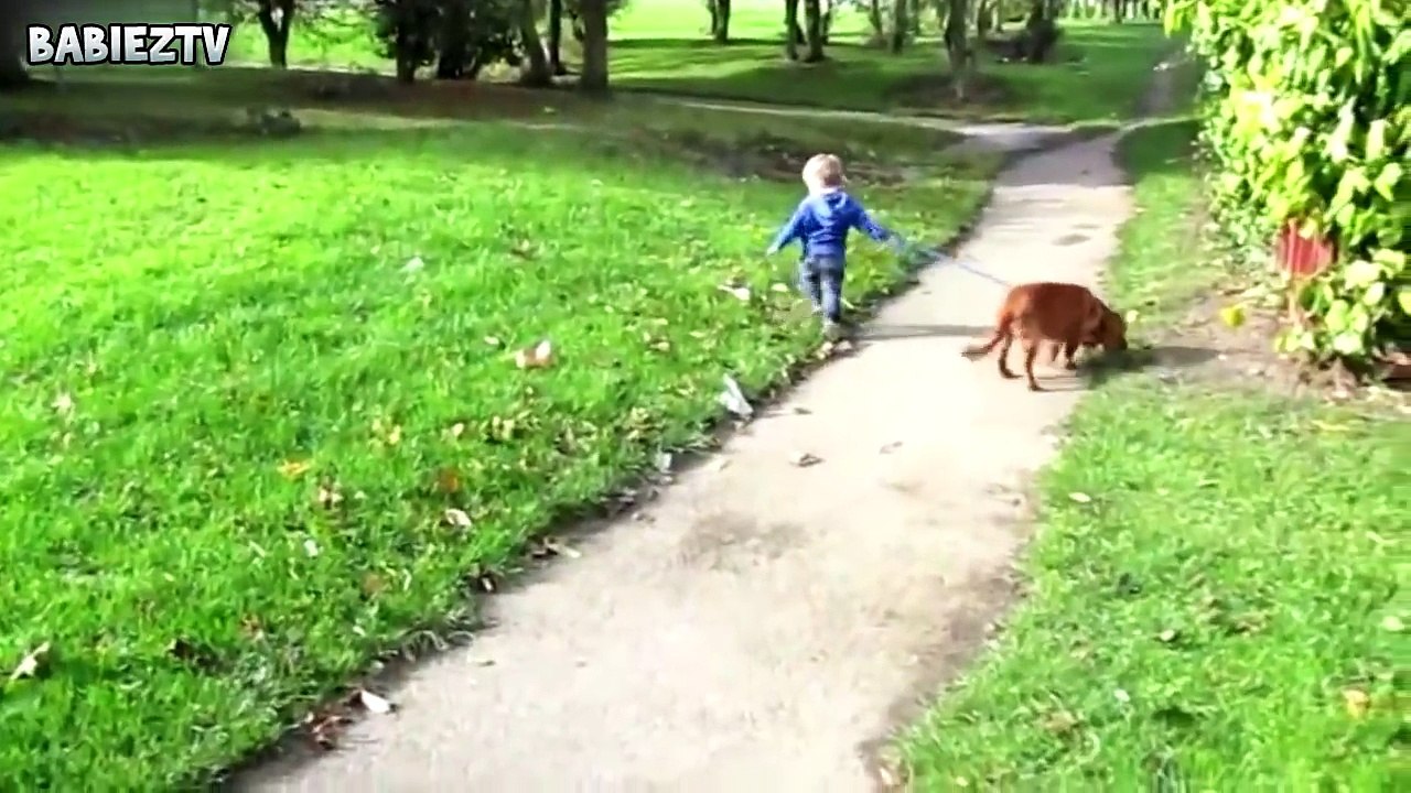 Most Adorable Dogs and Babies Living Together