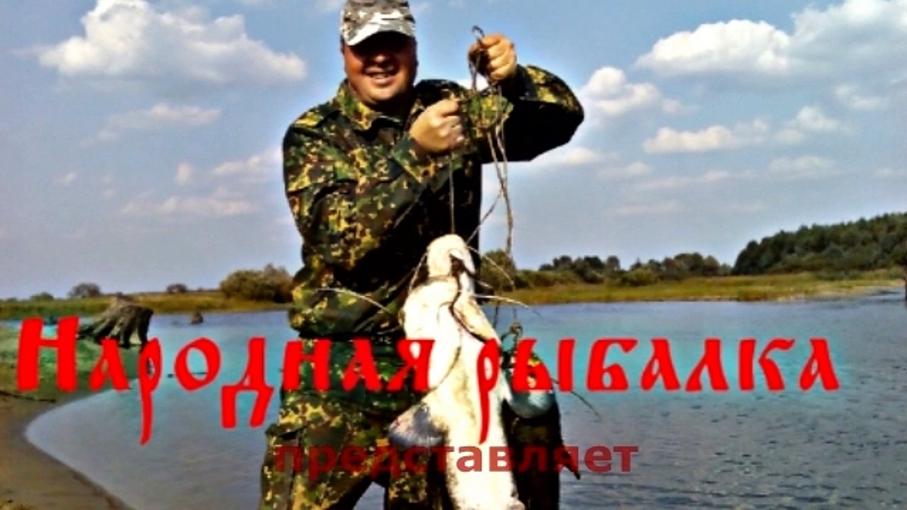 Карпятники
