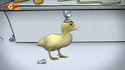 Puppucio _ Princess & Hopper Master - Fuzzy Tales -Bedtime Stories and Animated Ser