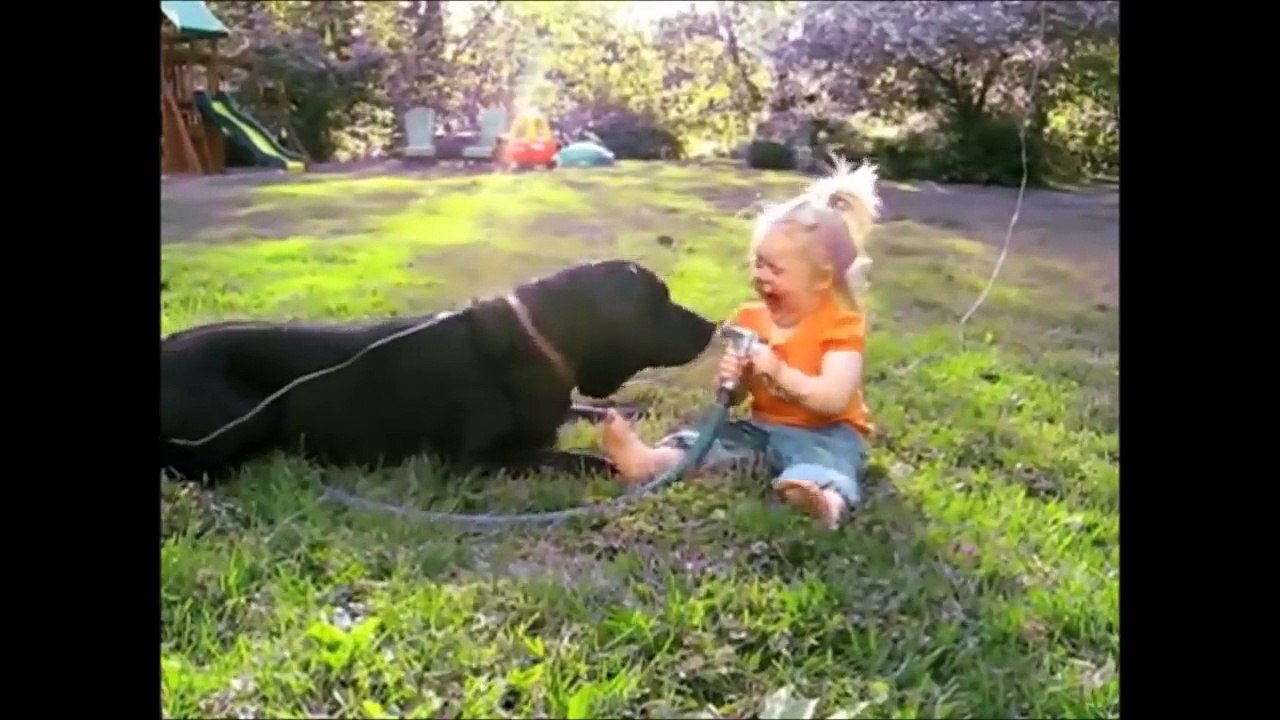 FUNNY DOGS & BABIES