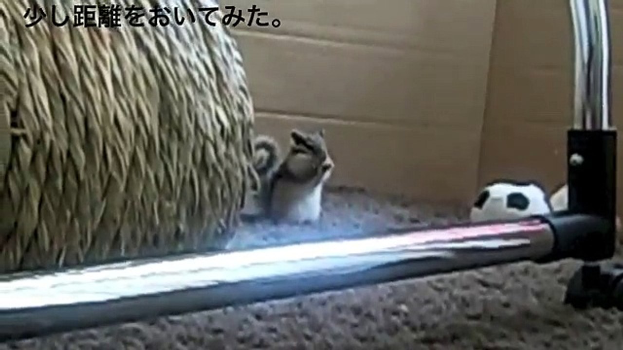 ちっちゃくて可愛い　麻田義貴 (10)