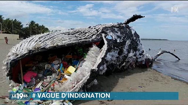 Greenpeace fait le buzz avec une fausse baleine échouée sur une plage - Regardez