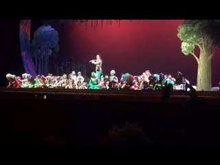 Succivo (CE) - Gli alunni della "De Amicis" in scena al Teatro San Carlo (25.05.17)