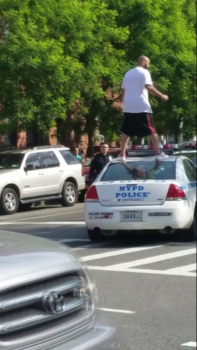 Harlem Man vs. Police