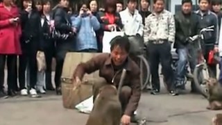 Henan Monkey man show hits the streetChinese Joyseekers around lives of primate trainers 河南耍猴人街頭賣藝
