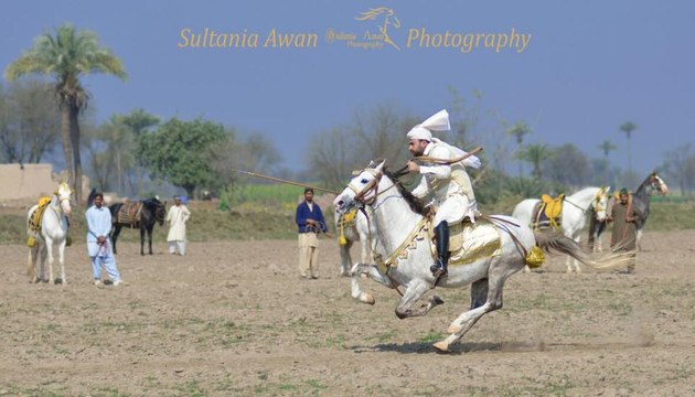 Sahibzada Sultan Bahadar Aziz Sahib Lead Rider M.H Sultania Awan Horse Neza Baaz Club