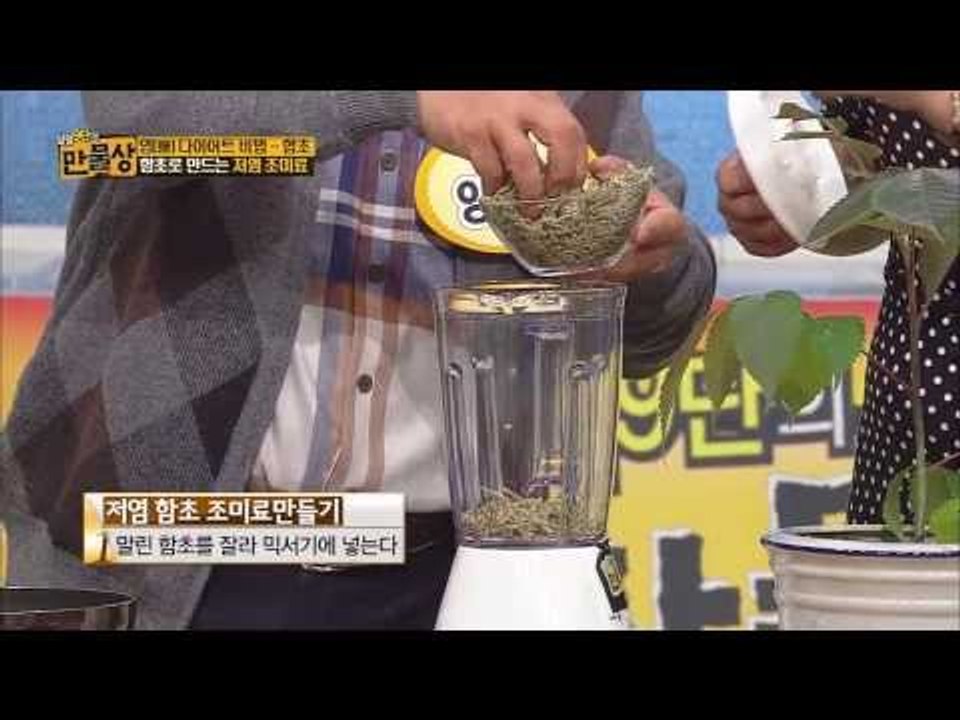 염[鹽] 다이어트 비법-함초 [살림9단의 만물상 34회]