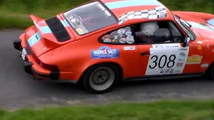RALLYE DE LA VALLEE DU CHER 2017 VHC ET VHRS