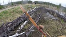 Un chasseur a fait une rencontre qui aurait pu très mal finir !