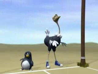 Animation race btween penguin and ostrich